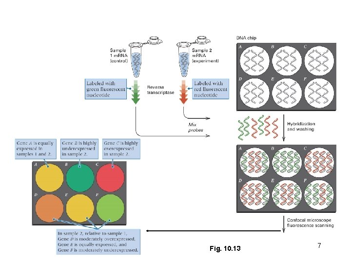 Fig. 10. 13 7 