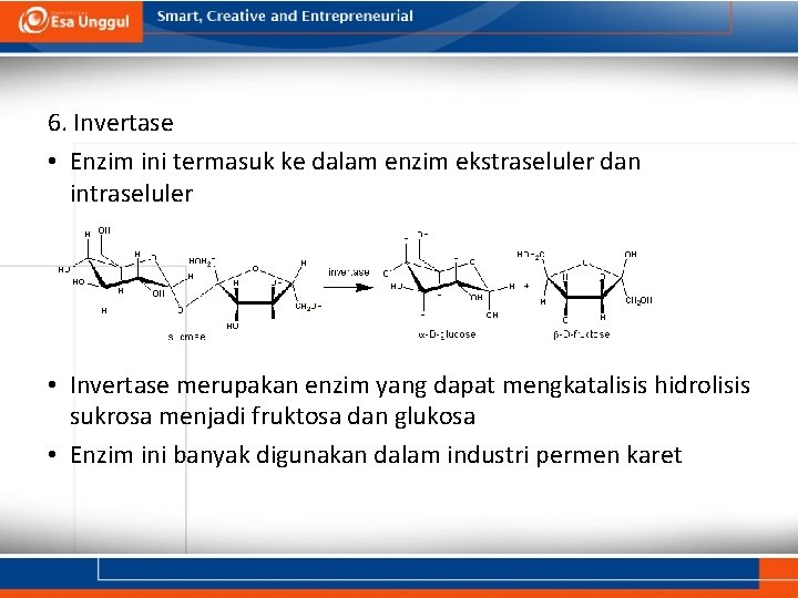 6. Invertase • Enzim ini termasuk ke dalam enzim ekstraseluler dan intraseluler • Invertase