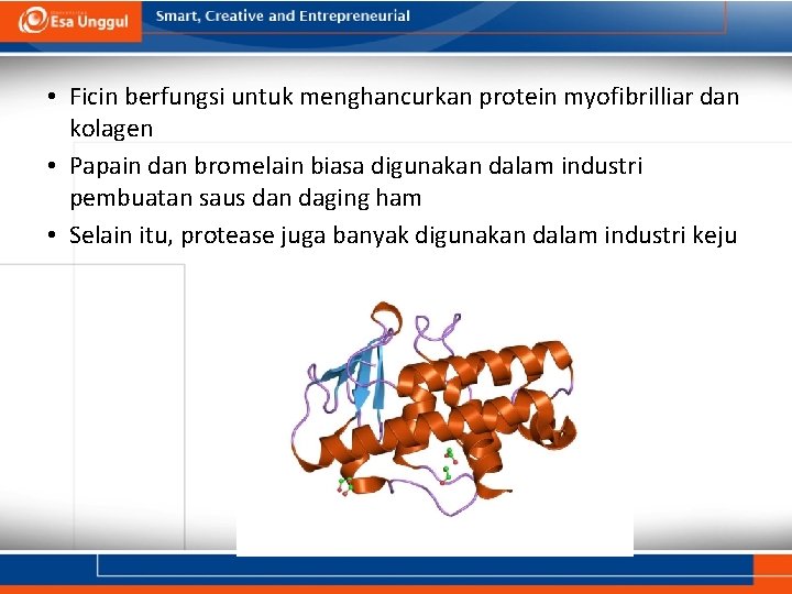  • Ficin berfungsi untuk menghancurkan protein myofibrilliar dan kolagen • Papain dan bromelain