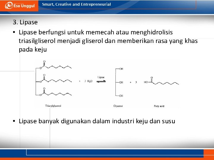 3. Lipase • Lipase berfungsi untuk memecah atau menghidrolisis triasilgliserol menjadi gliserol dan memberikan