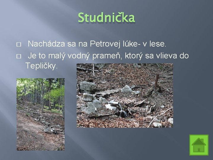 Studnička � � Nachádza sa na Petrovej lúke- v lese. Je to malý vodný