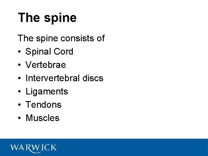 The spine consists of • Spinal Cord • Vertebrae • Intervertebral discs • Ligaments