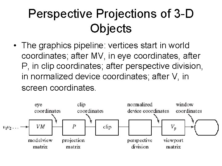 Perspective Projections of 3 -D Objects • The graphics pipeline: vertices start in world