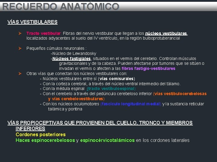 RECUERDO ANATÓMICO VÍAS VESTIBULARES Ø Tracto vestibular: Fibras del nervio vestibular que llegan a