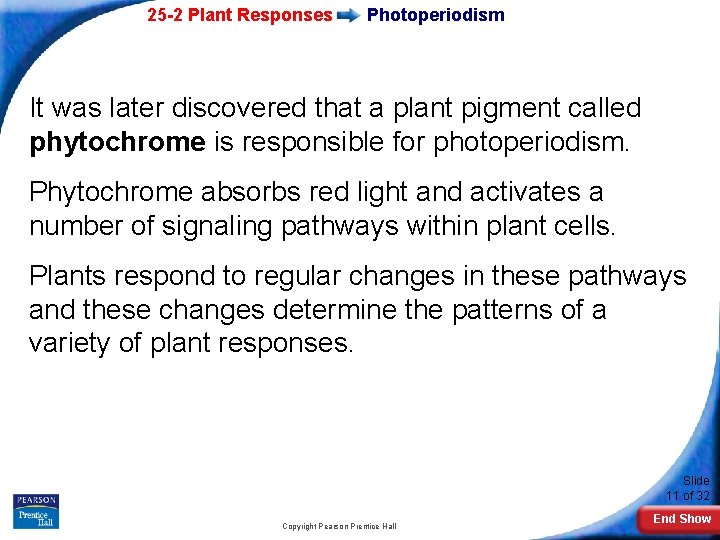 25 -2 Plant Responses Photoperiodism It was later discovered that a plant pigment called
