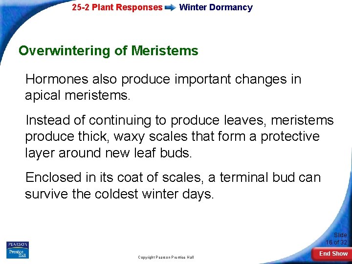 25 -2 Plant Responses Winter Dormancy Overwintering of Meristems Hormones also produce important changes