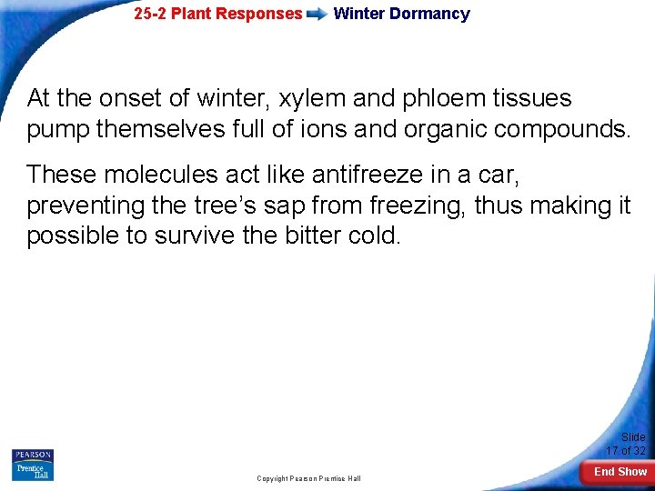 25 -2 Plant Responses Winter Dormancy At the onset of winter, xylem and phloem