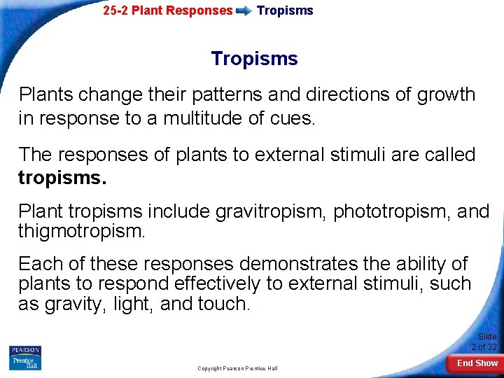 25 -2 Plant Responses Tropisms Plants change their patterns and directions of growth in
