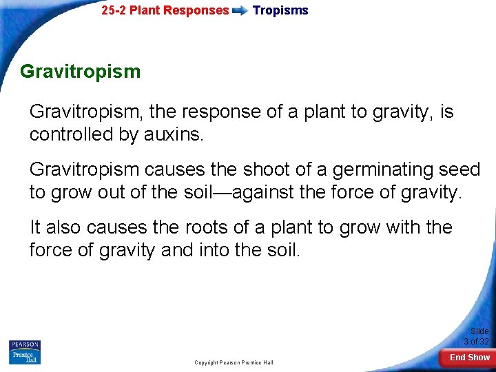 25 -2 Plant Responses Tropisms Gravitropism, the response of a plant to gravity, is