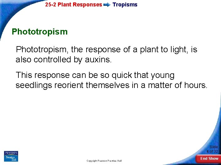 25 -2 Plant Responses Tropisms Phototropism, the response of a plant to light, is