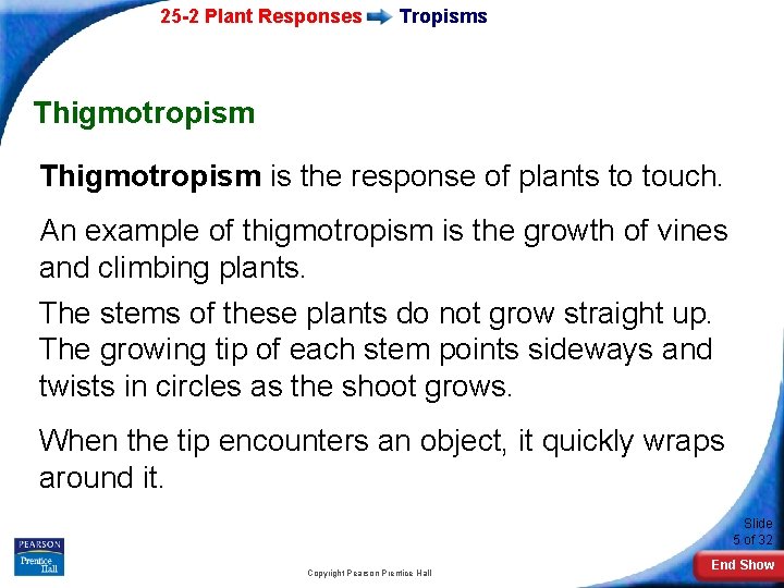 25 -2 Plant Responses Tropisms Thigmotropism is the response of plants to touch. An