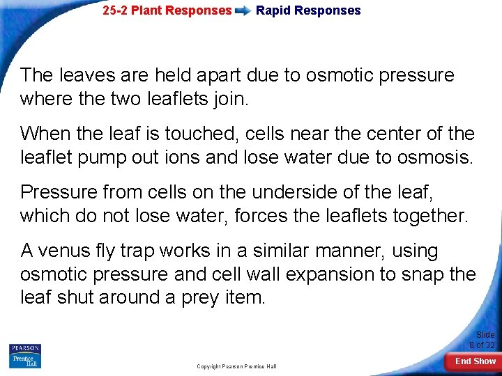 25 -2 Plant Responses Rapid Responses The leaves are held apart due to osmotic