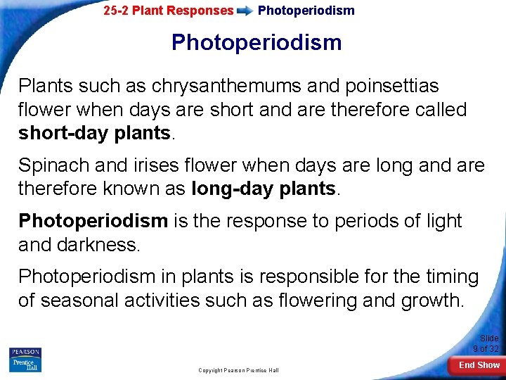 25 -2 Plant Responses Photoperiodism Plants such as chrysanthemums and poinsettias flower when days