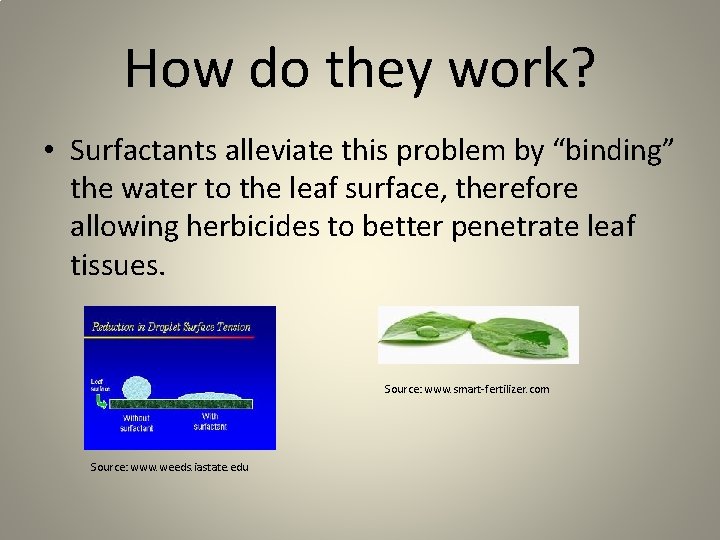 How do they work? • Surfactants alleviate this problem by “binding” the water to