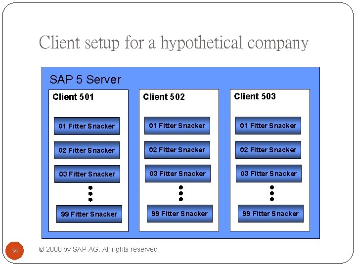 Client setup for a hypothetical company SAP 5 Server Client 501 14 Client 502 Client setup for a hypothetical company SAP 5 Server Client 501 14 Client 502