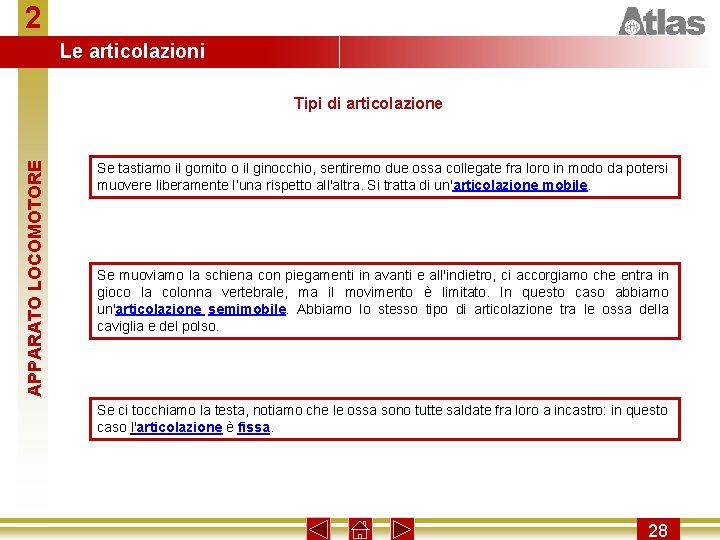 2 Le articolazioni APPARATO LOCOMOTORE Tipi di articolazione Se tastiamo il gomito o il