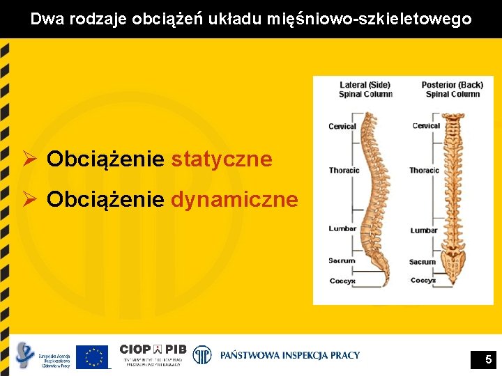 Dwa rodzaje obciążeń układu mięśniowo-szkieletowego Ø Obciążenie statyczne Ø Obciążenie dynamiczne 5 