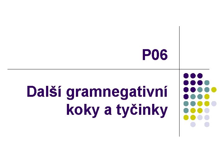  P 06 Další gramnegativní koky a tyčinky 