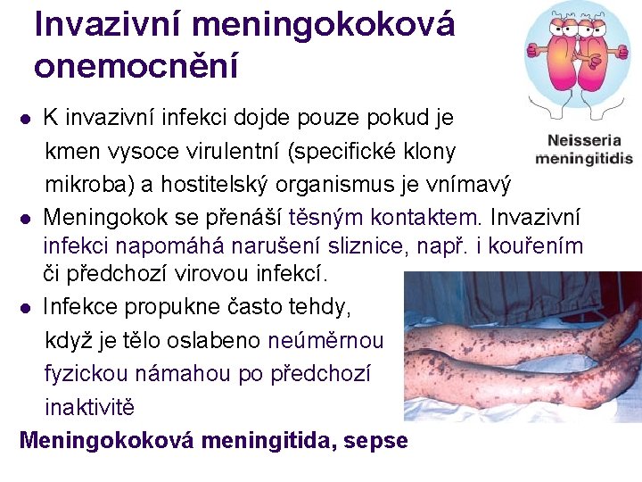 Invazivní meningokoková onemocnění K invazivní infekci dojde pouze pokud je kmen vysoce virulentní (specifické