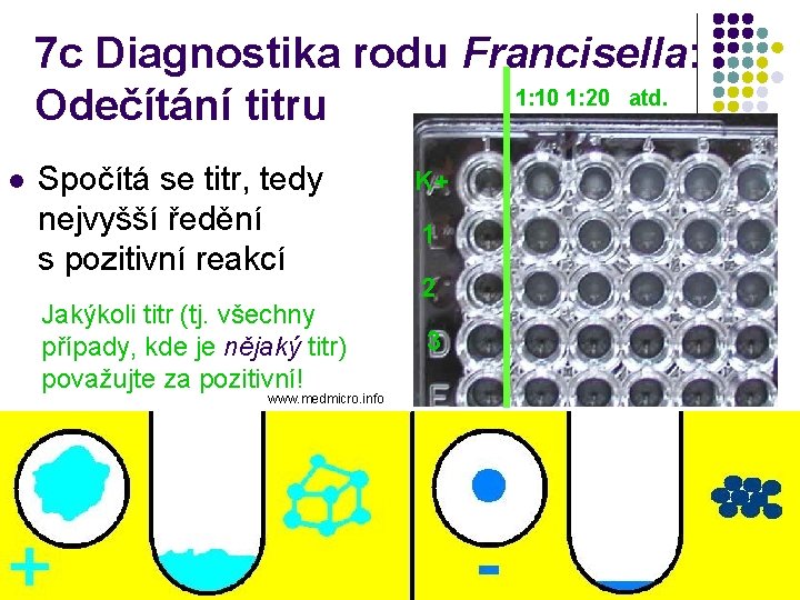 7 c Diagnostika rodu Francisella: 1: 10 1: 20 atd. Odečítání titru l Spočítá