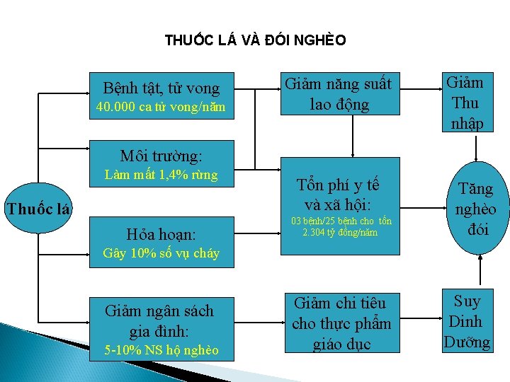 THUỐC LÁ VÀ ĐÓI NGHÈO Bệnh tật, tử vong 40. 000 ca tử vong/năm