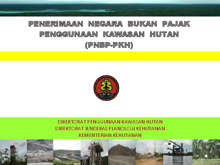 PENERIMAAN NEGARA BUKAN PAJAK PENGGUNAAN KAWASAN HUTAN (PNBP-PKH) DIREKTORAT PENGGUNAAN KAWASAN HUTAN DIREKTORAT JENDERAL