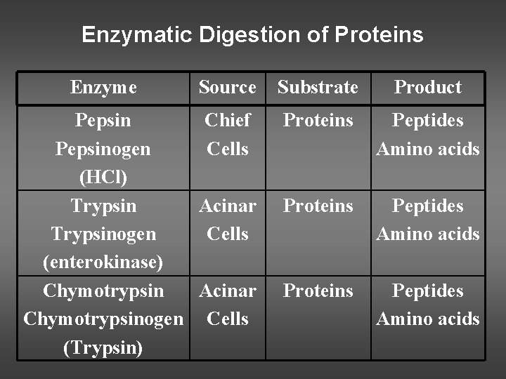 Enzymatic Digestion of Proteins Enzyme Source Substrate Product Pepsin Chief Pepsinogen Cells (HCl) Trypsin