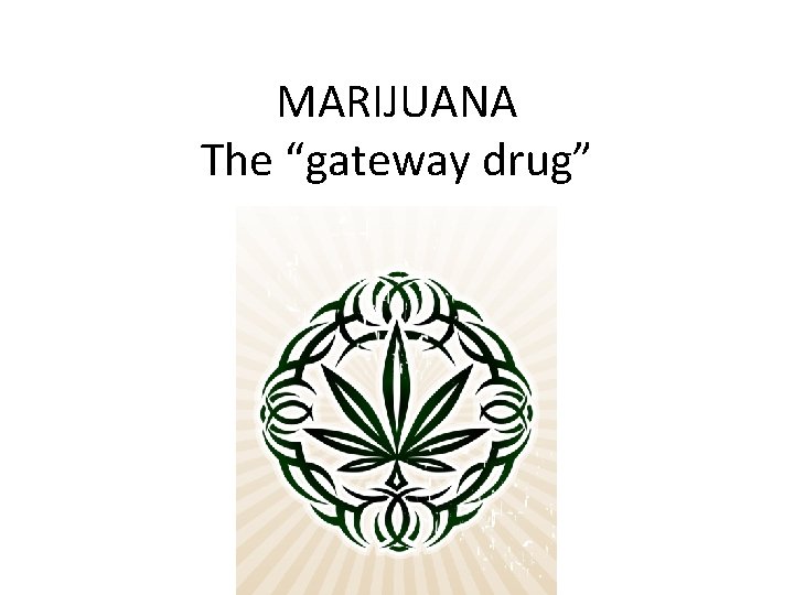 MARIJUANA The “gateway drug” 