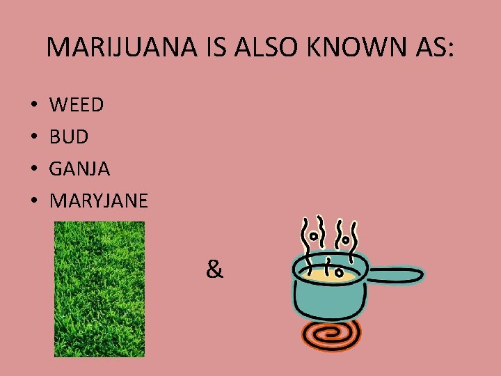MARIJUANA IS ALSO KNOWN AS: • • WEED BUD GANJA MARYJANE & 