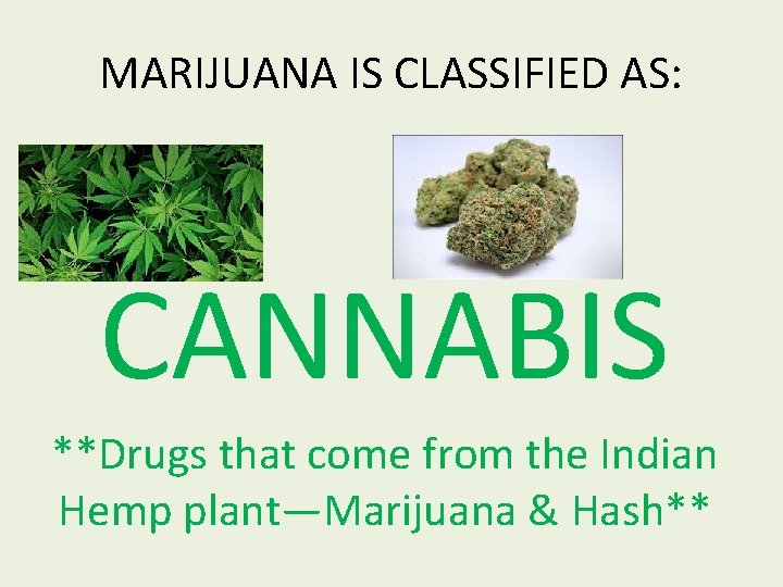 MARIJUANA IS CLASSIFIED AS: CANNABIS **Drugs that come from the Indian Hemp plant—Marijuana &