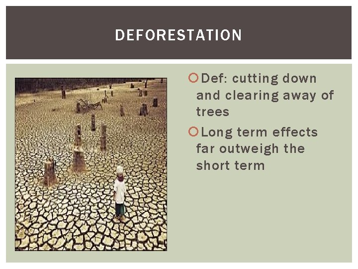 DEFORESTATION Def: cutting down and clearing away of trees Long term effects far outweigh