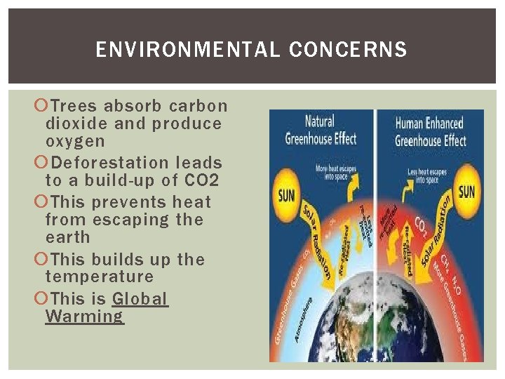 ENVIRONMENTAL CONCERNS Trees absorb carbon dioxide and produce oxygen Deforestation leads to a build-up