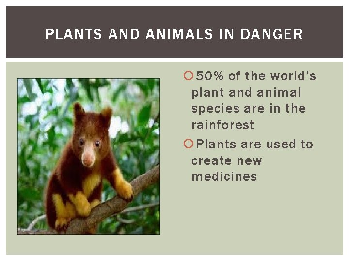 PLANTS AND ANIMALS IN DANGER 50% of the world’s plant and animal species are