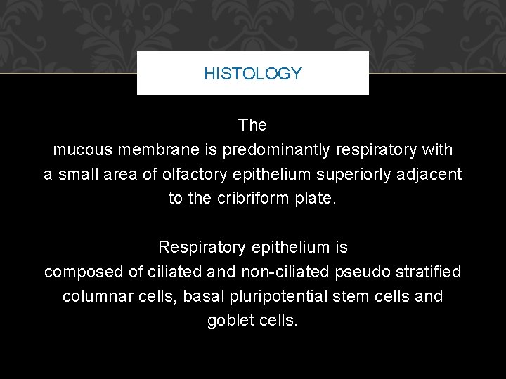 HISTOLOGY The mucous membrane is predominantly respiratory with a small area of olfactory epithelium