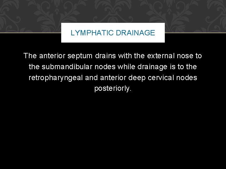 LYMPHATIC DRAINAGE The anterior septum drains with the external nose to the submandibular nodes