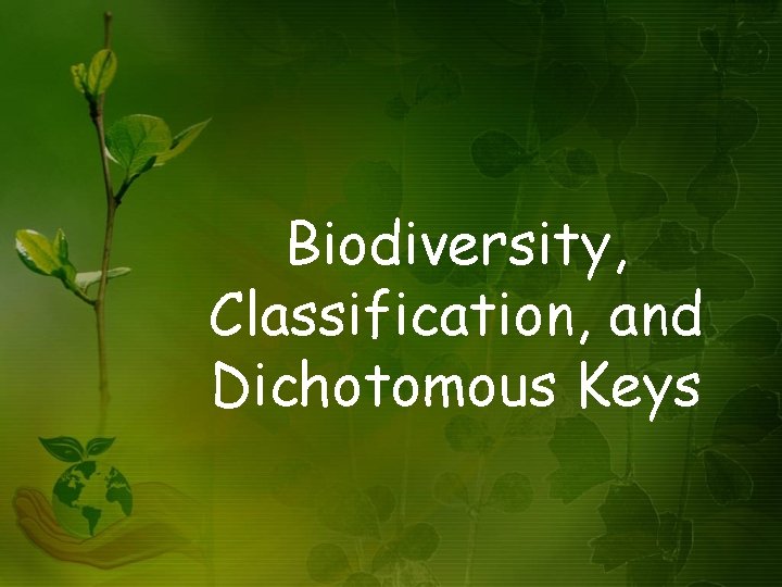 Biodiversity, Classification, and Dichotomous Keys 