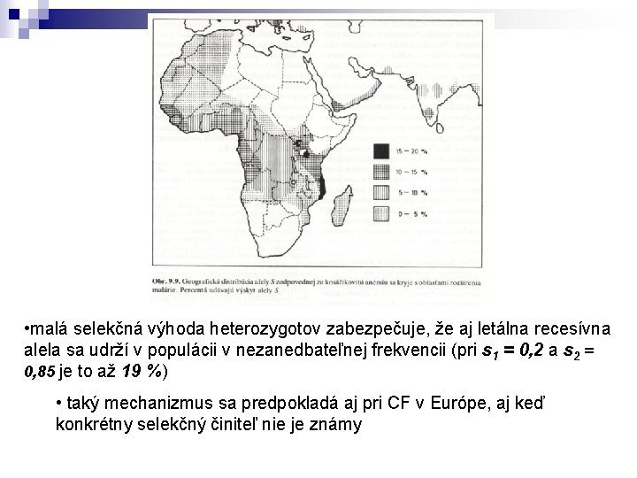  • malá selekčná výhoda heterozygotov zabezpečuje, že aj letálna recesívna alela sa udrží