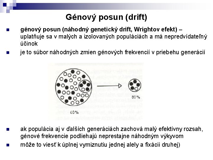 Génový posun (drift) n n génový posun (náhodný genetický drift, Wrightov efekt) – uplatňuje