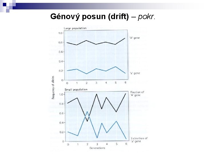 Génový posun (drift) – pokr. 