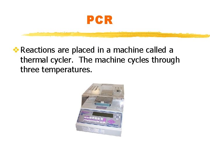 PCR v Reactions are placed in a machine called a thermal cycler. The machine