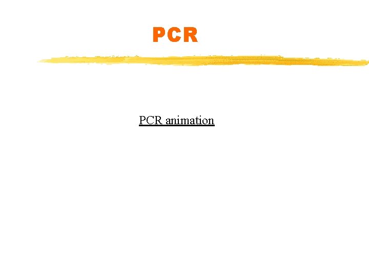 PCR animation 