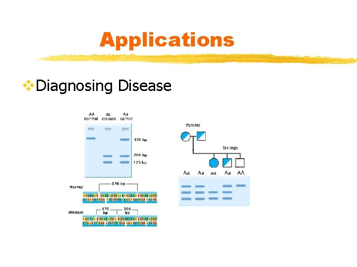 Applications v. Diagnosing Disease 