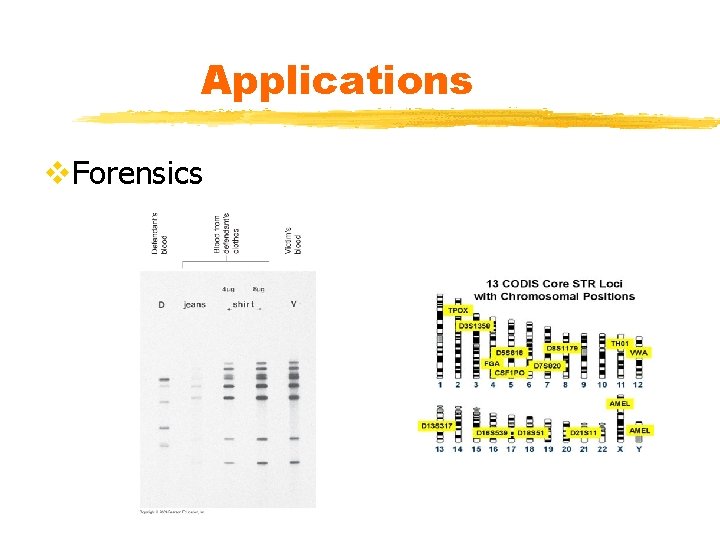 Applications v. Forensics 