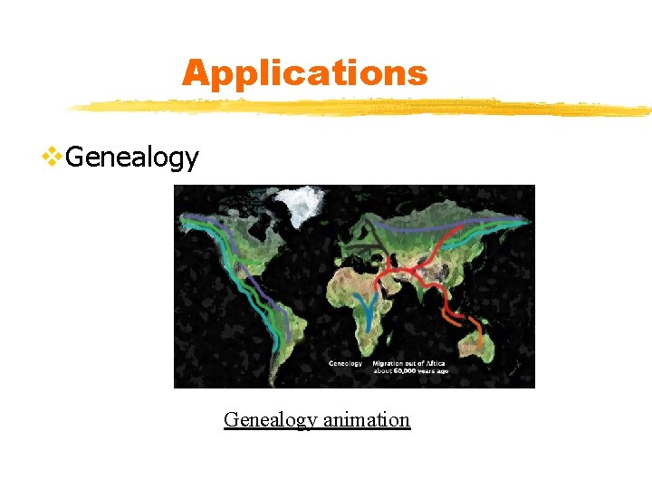 Applications v. Genealogy animation 
