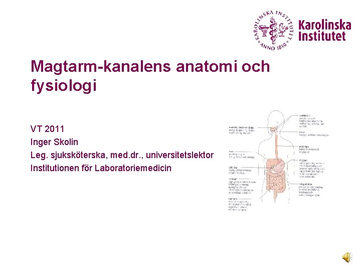 Magtarm-kanalens anatomi och fysiologi VT 2011 Inger Skolin Leg. sjuksköterska, med. dr. , universitetslektor