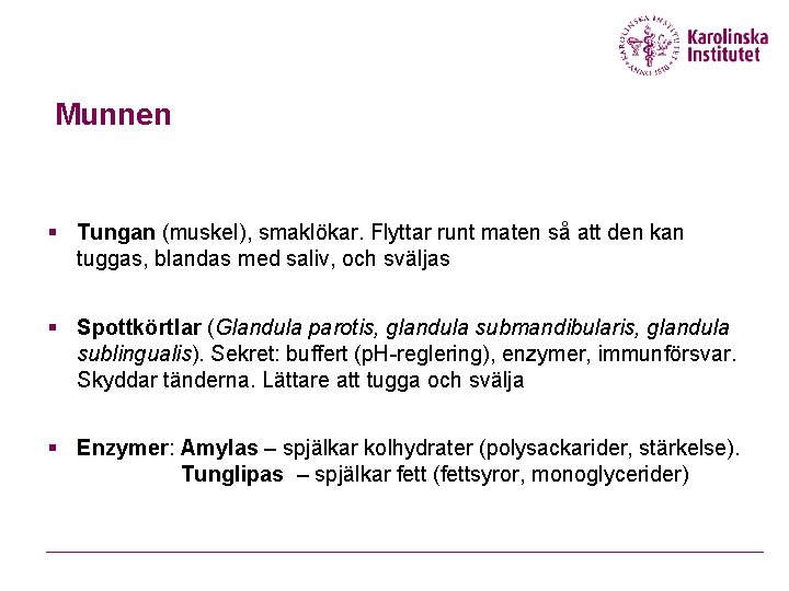 Munnen § Tungan (muskel), smaklökar. Flyttar runt maten så att den kan tuggas, blandas