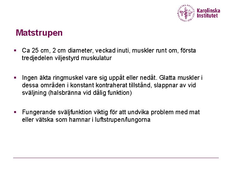 Matstrupen § Ca 25 cm, 2 cm diameter, veckad inuti, muskler runt om, första