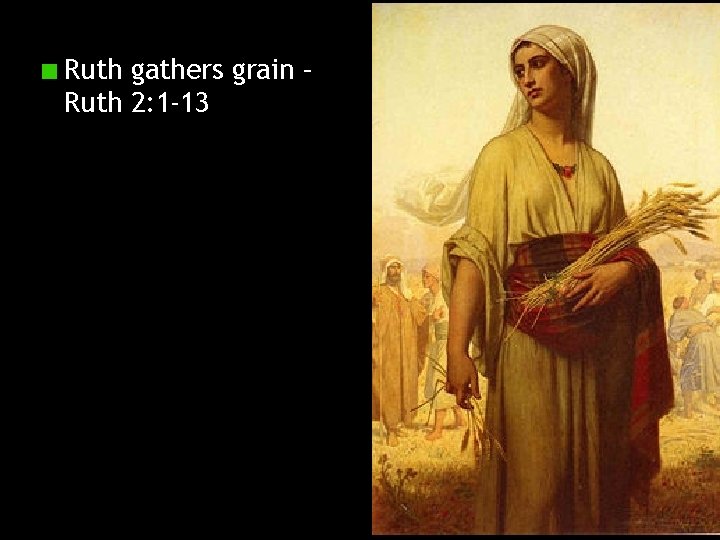 Ruth gathers grain – Ruth 2: 1 -13 