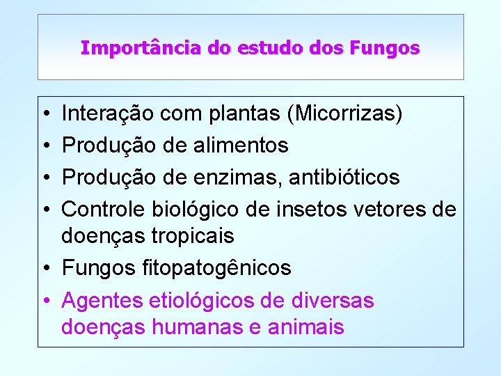 Importância do estudo dos Fungos • • Interação com plantas (Micorrizas) Produção de alimentos