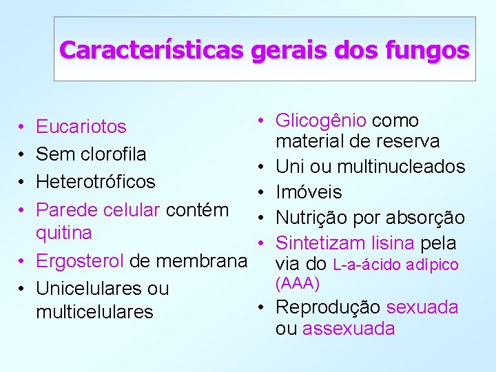 Características gerais dos fungos • • Eucariotos Sem clorofila Heterotróficos Parede celular contém quitina